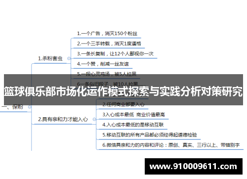 篮球俱乐部市场化运作模式探索与实践分析对策研究